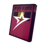 Secret Book